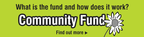 What is the fund and how does it work?
