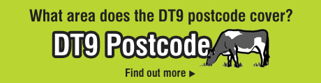 What area does the DT9 postcode cover?